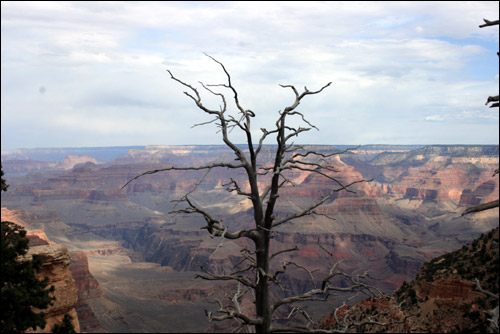 yaki point 에서 바라보는 그랜드캐니언 